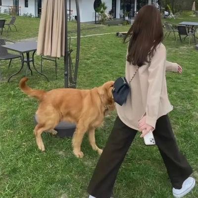 欢乐一家亲第十季
